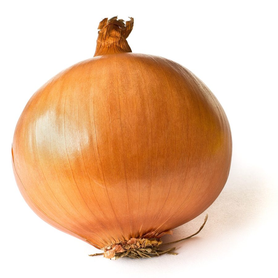 ఉల్లిపాయ